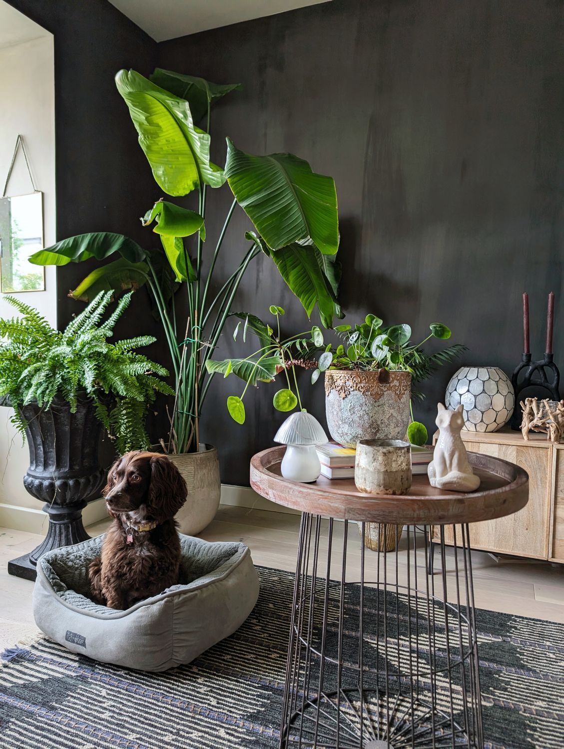 A quieter corner of the same living room — darker tones, layered greenery, lived-in atmosphere